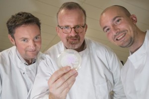 Professor Huw Taylor, Dr James Ebdon and PhD student Emanuele Sozzi