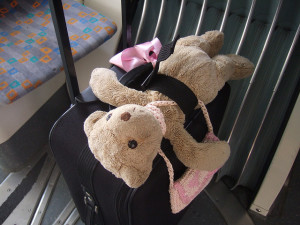 Teddy bear with suitcase by Ralph Aichinger on Flickr