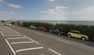 Marine Parade hedge