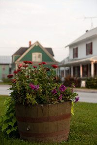 Flowerpot by James Maskell on Flickr