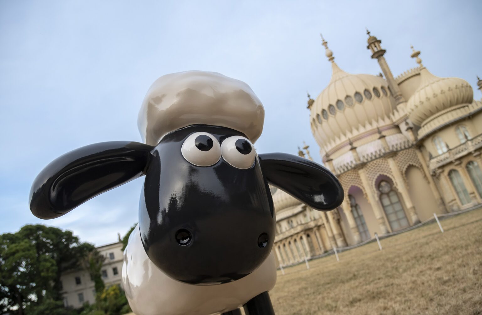 First snails, then dogs now Shaun the Sheep trail set to hit Brighton